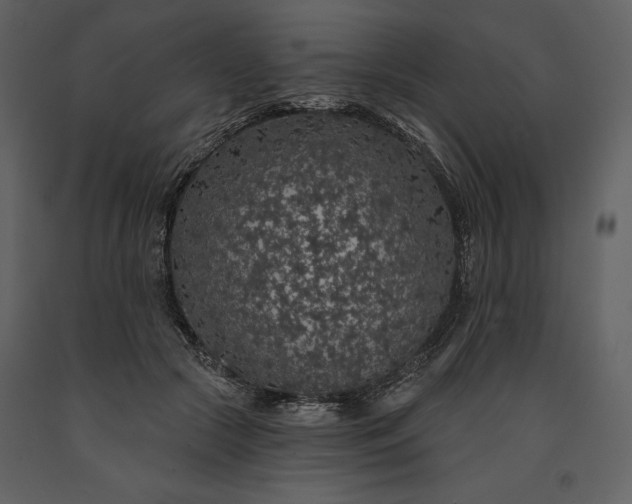 X0000091210553200708231610