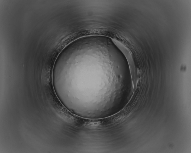 X0000091210554200708231610