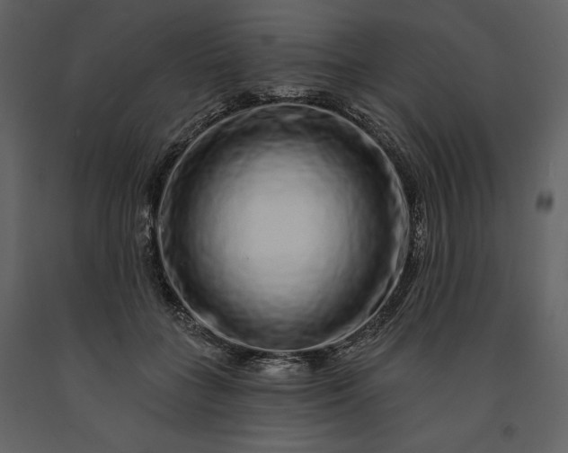 X0000091210555200708231610