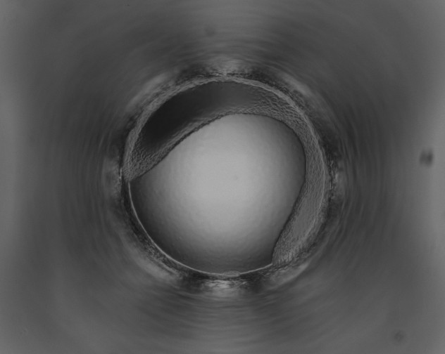 X0000091210558200708231610