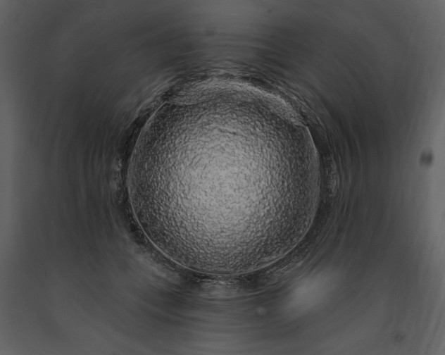 X0000091210559200708231610