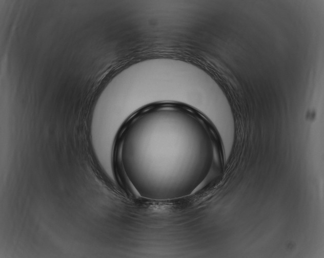 X0000091210560200708231610