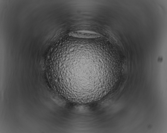 X0000091210561200708231610