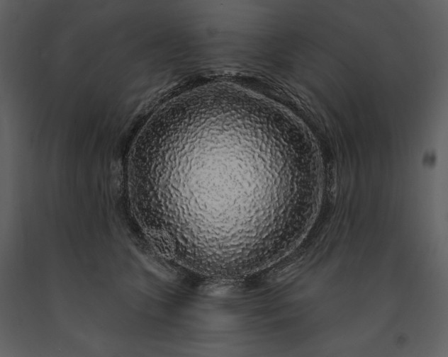 X0000091210563200708231610