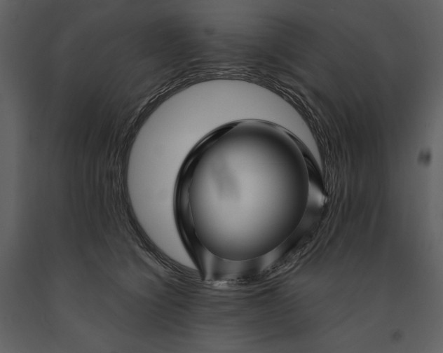 X0000091210564200708231610