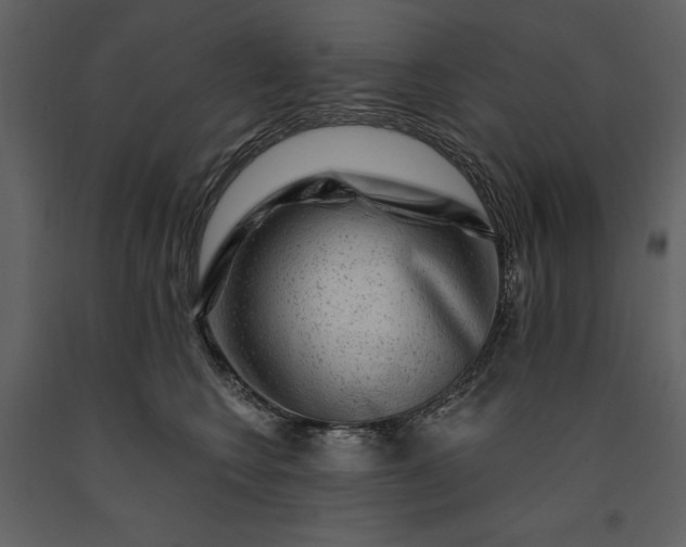 X0000091210566200708231610