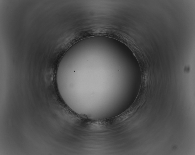 X0000091210567200708231610