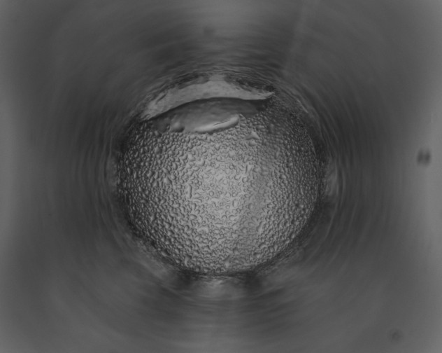 X0000091210569200708231610