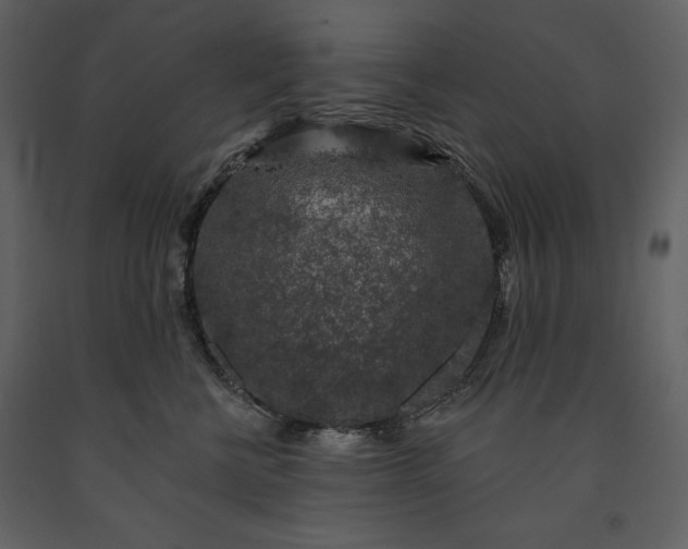 X0000091210570200708231610