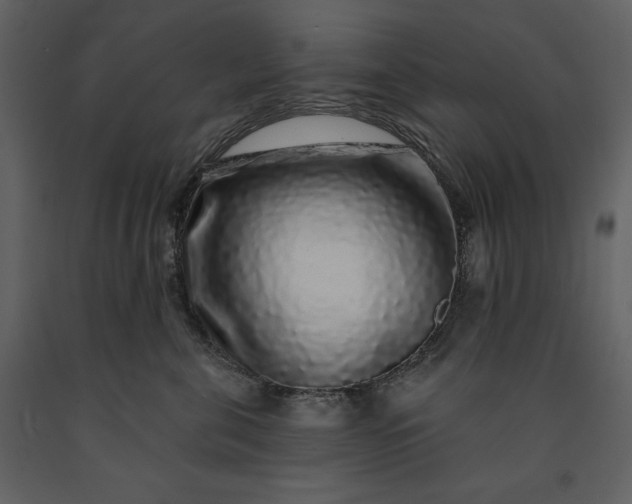 X0000091210571200708231610