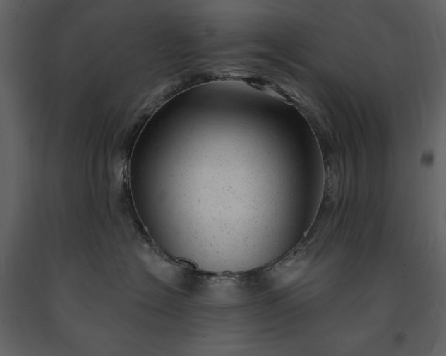X0000091210574200708231610