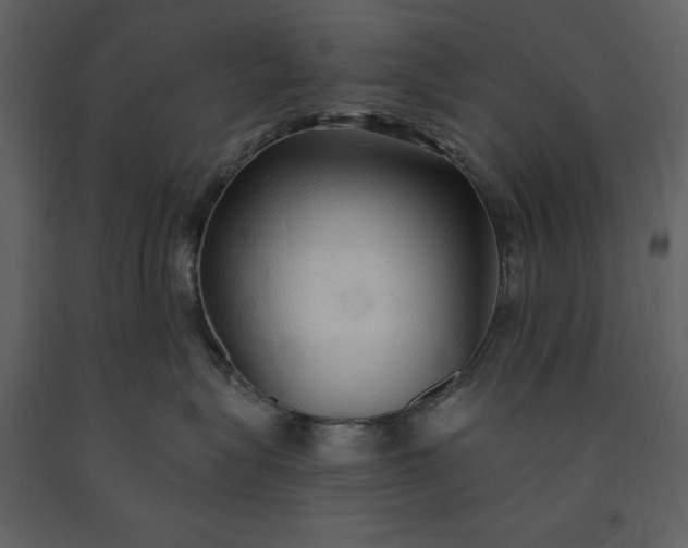 X0000091210575200708231610