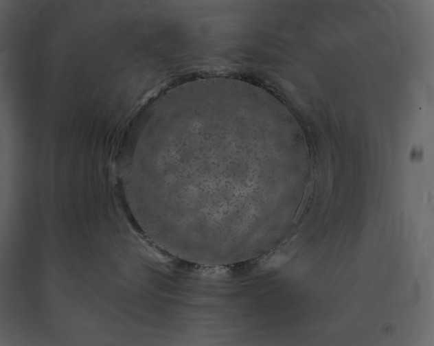 X0000091210576200708231610