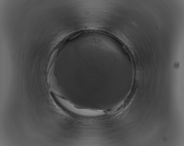 X0000091210577200708231610