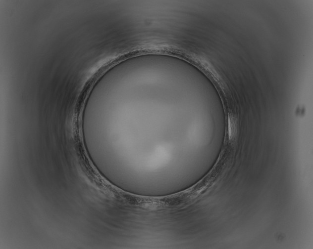 X0000091210579200708231610