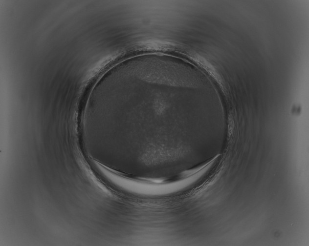 X0000091210581200708231610