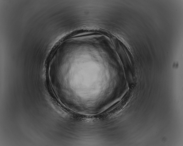 X0000091210584200708231609