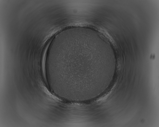 X0000091210585200708231609