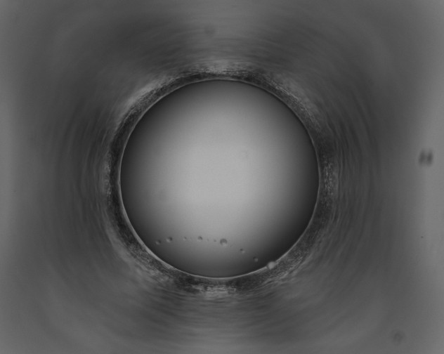 X0000091210587200708231609