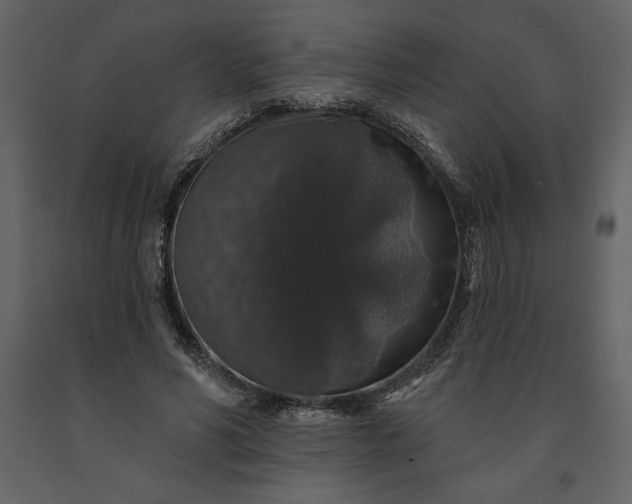 X0000091210590200708231609