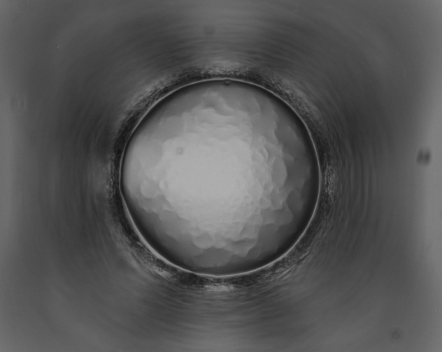 X0000091210591200708231609