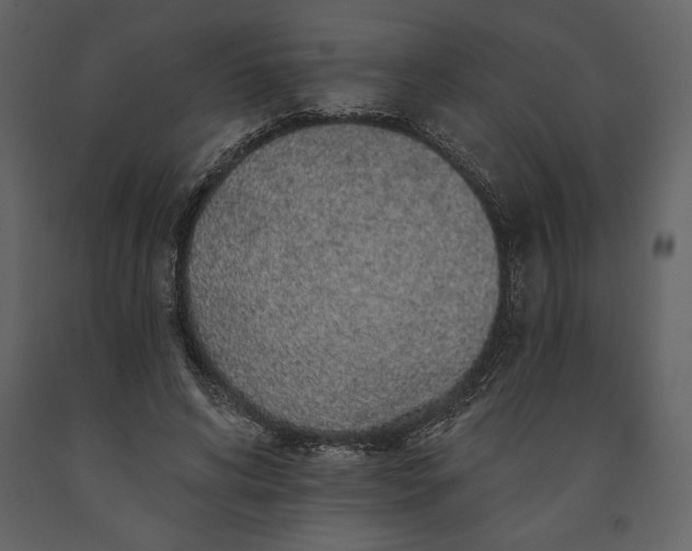 X0000091210592200708231609