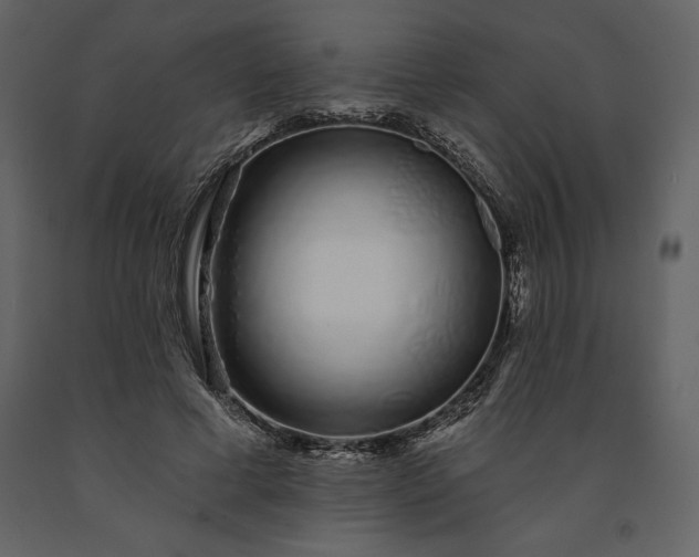 X0000091210593200708231609
