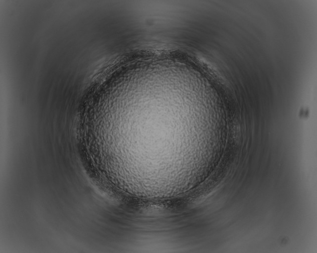 X0000091210594200708231609