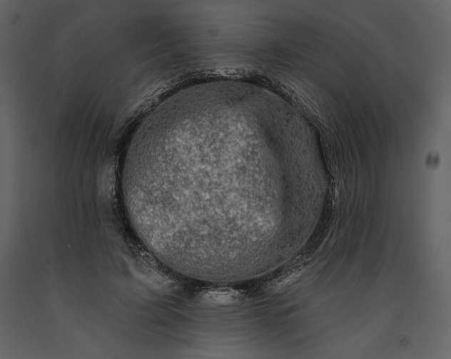 X0000091210595200708231609