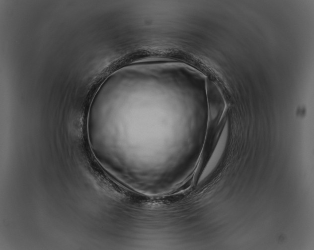 X0000091210596200708231609