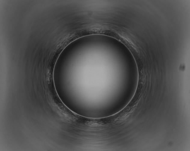 X0000091210597200708231609
