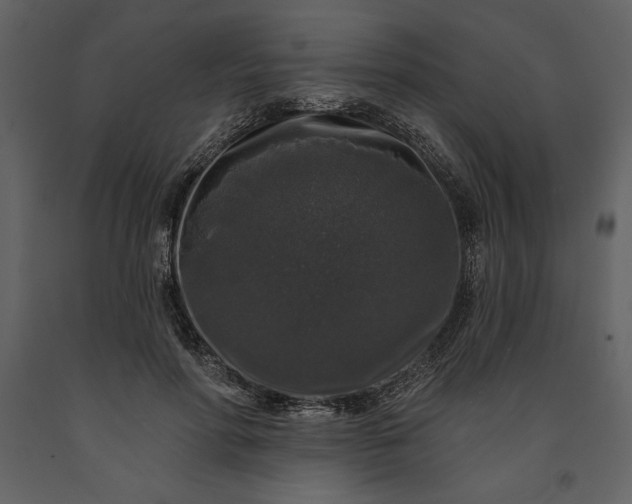 X0000091210598200708231609