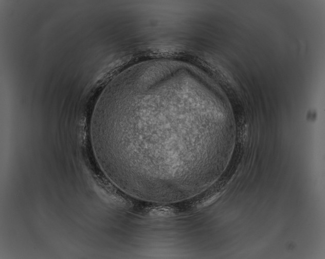 X0000091210599200708231609