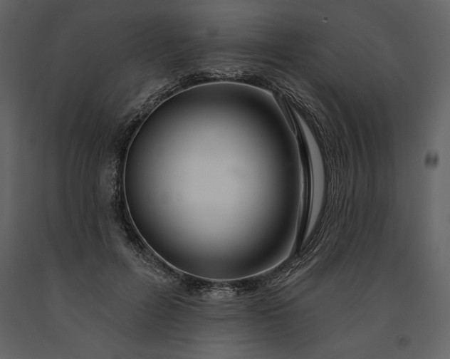 X0000091210600200708231609