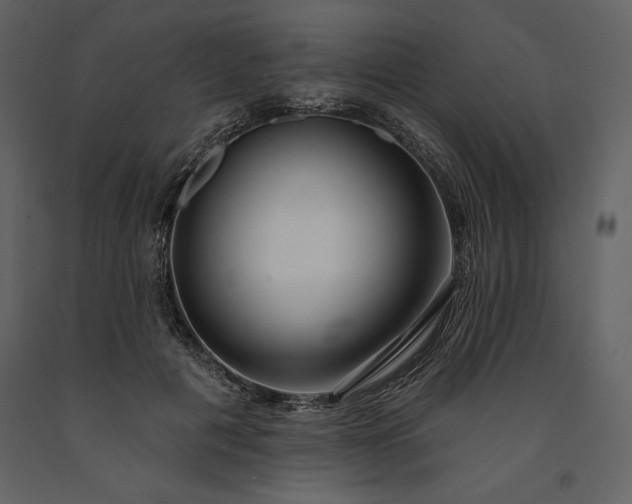 X0000091210601200708231609