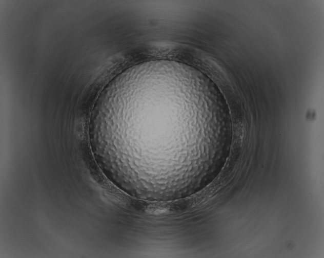 X0000091210602200708231609
