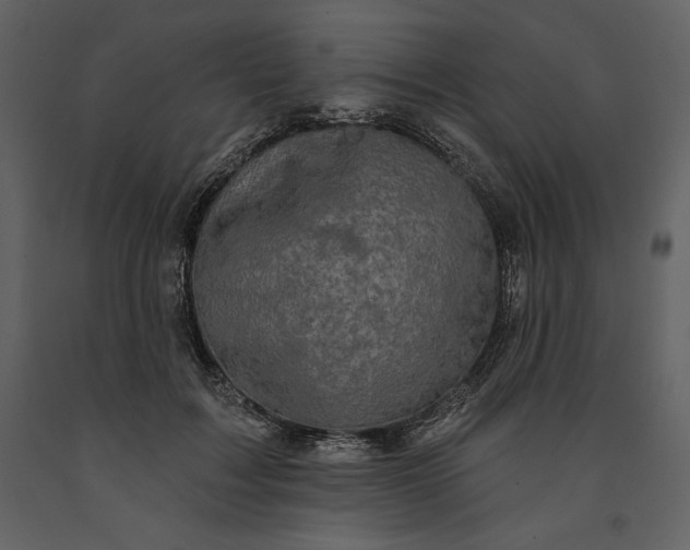 X0000091210603200708231609