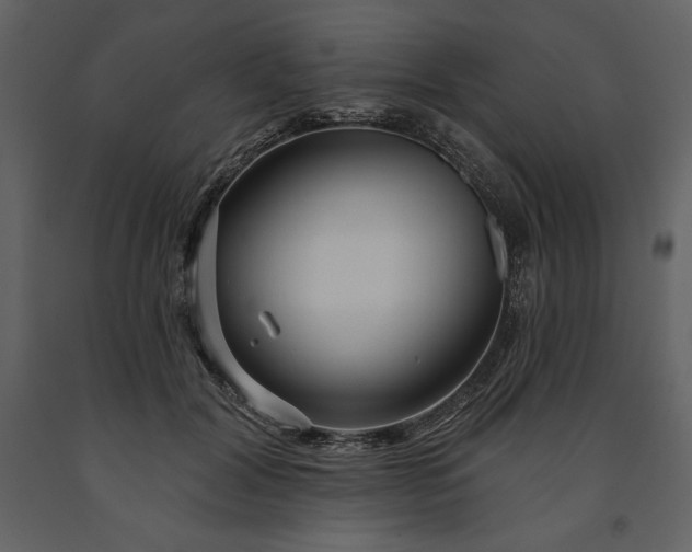 X0000091210604200708231609
