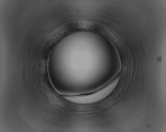 X0000091210605200708231609