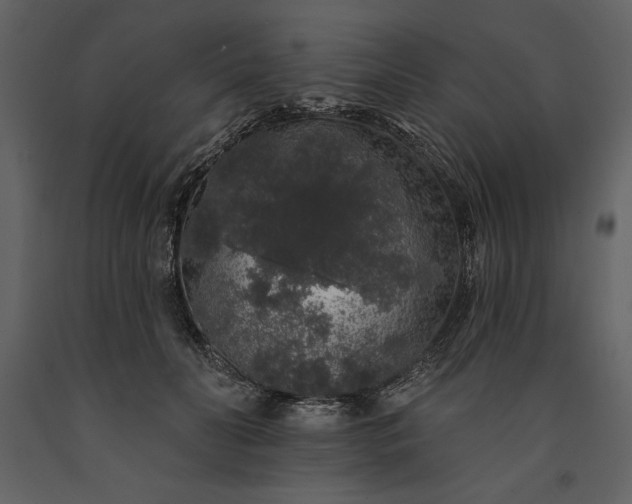X0000091210606200708231609