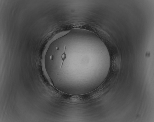 X0000091210608200708231609