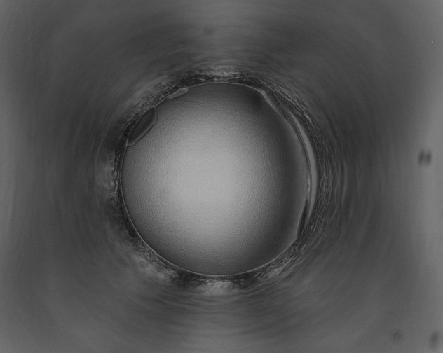 X0000091210609200708231609
