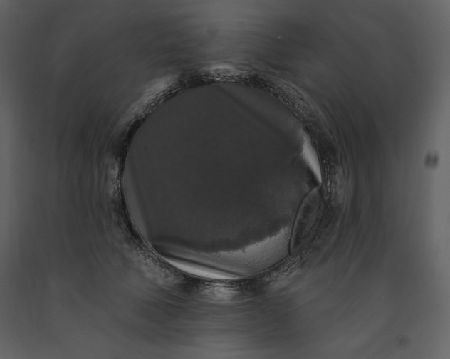 X0000091210610200708231609