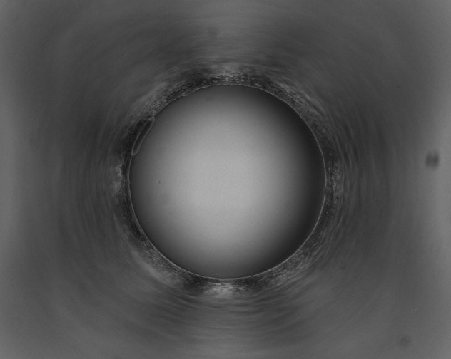 X0000091210611200708231609