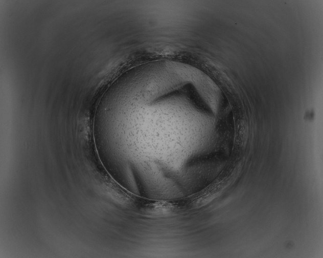 X0000091210612200708231609