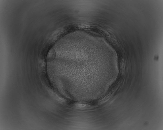 X0000091210614200708231609
