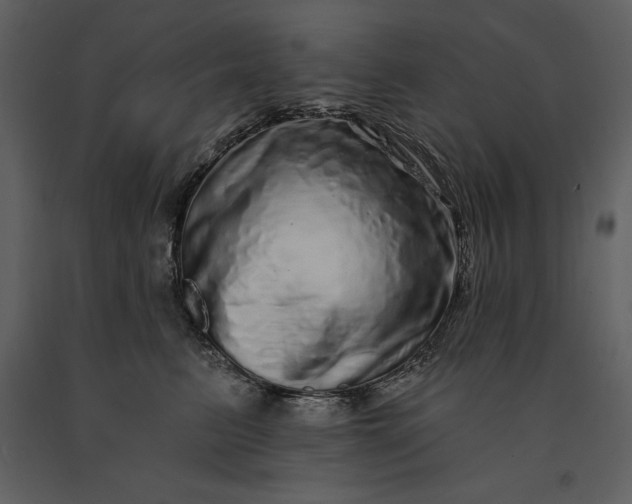 X0000091210615200708231609
