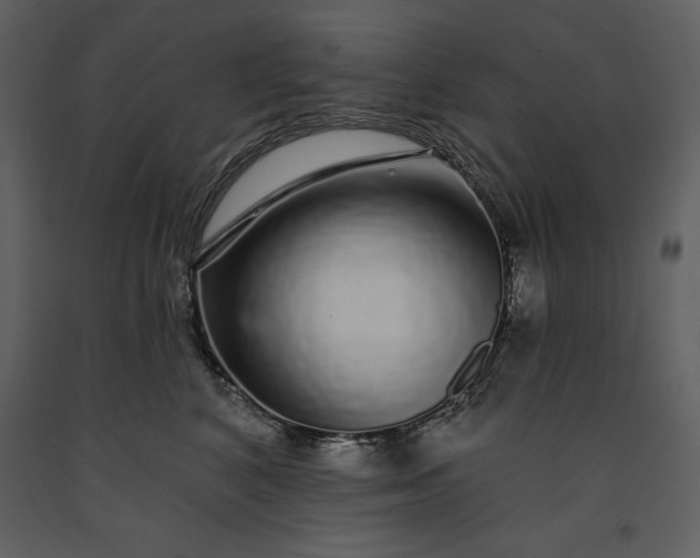 X0000091210616200708231609