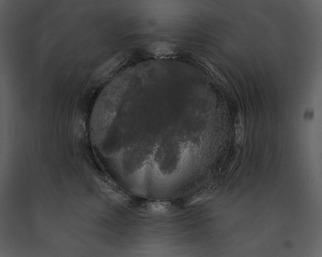 X0000091210618200708231609