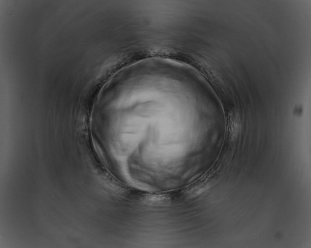 X0000091210619200708231609